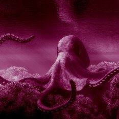 SHUTERSTUCK.SHUTERSTUCK SHUTERSTUCK