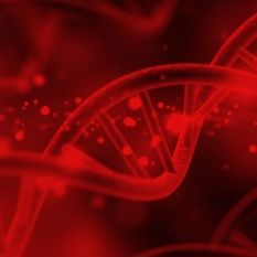 DNA.shutterstock DNA